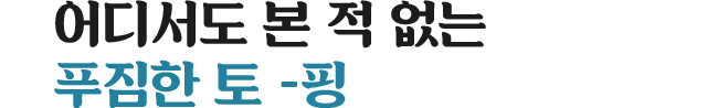 어디서도 본 적 없는 푸짐한 토 - 핑
